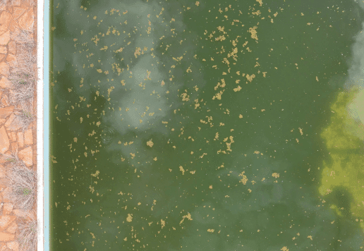 Green to Clean Recovery